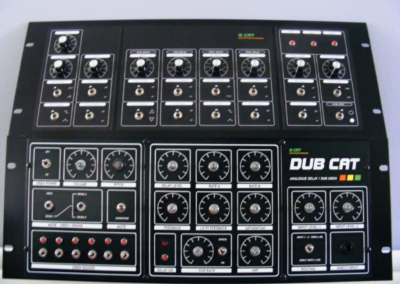 Dub Cat & synth, rack mount