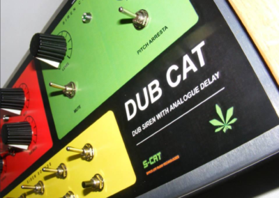 Dub Cat siren delay